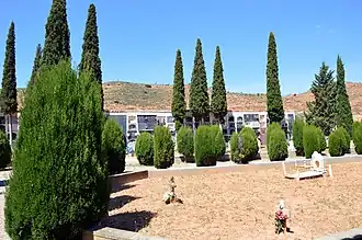 Vista interior del cementerio municipal de Torrebaja, con detalle de cipreses y señalizaciones en tierra (2016).