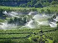 Aspersores regando una viña en el AltoAdigio, Italia
