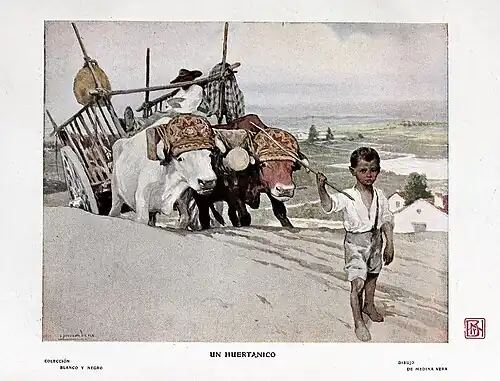 Blanco y Negro (1907)