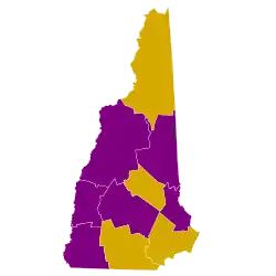 Primarias del Partido Demócrata de 2008 en Nuevo Hampshire