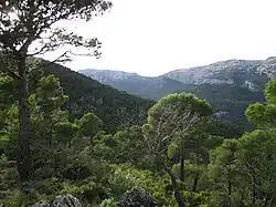 Sierra de Espuña