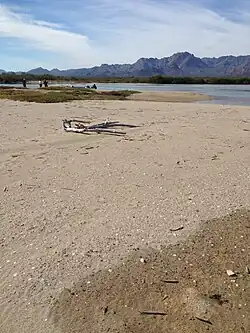 Una cordillera recorre isla Tiburón a lo largo