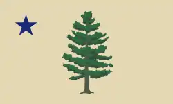 Bandera presentada para referéndum en 2024.