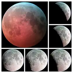 Serie de fotografías del eclipse vistas desde Sainte-Anne-de-Bellevue, Quebec, a través de un telescopio aficionado f/7.8 con un ocular de 10 mm, capturado con la cámara de un teléfono Pixel 7 Pro. Secuencia del eclipse tomada desde Coyoacán, CDMX, México Santiago de Chile, Chile 6:21 UTC