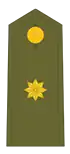 Insignias de comandante del Ejército de Tierra.
