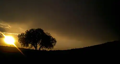 Colinas de Tepeyanco Tepeyanco