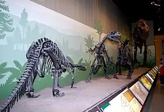 Salón de los dinosauria del Jurásico