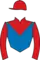 Horse racing silks