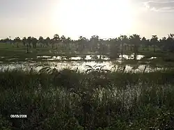Estero, Llanos Bajos