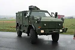 Dingo austríaco 2 NC