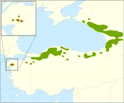 Distribución del abeto del Cáucaso.