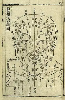 Esquema de acupuncture facial S. XVII