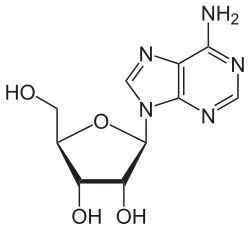 Estructura química de la adenosina