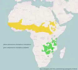 Ranges of northern and southern race L. c. chloropterus L. c. elisabeth