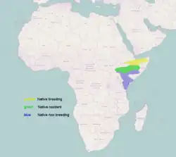 Distribución de L. shelleyi