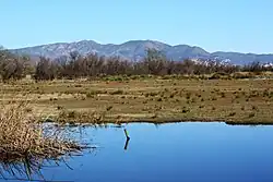 Aiguamolls de l'Alt Empordà