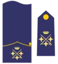 Teniente general