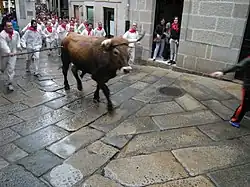 Festa do Boi de Allariz