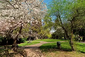 Clima oceanico Cfb Seattle