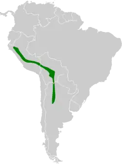 Distribución geográfica del colibrí ventriníveo