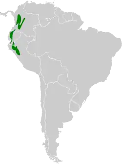 Distribución geográfica de la amazilia andina
