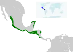 Distribución geográfica de la amazilia canela