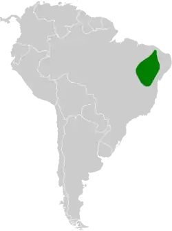 Distribución geográfica del ermitaño coliancho.