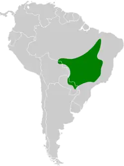 Distribución geográfica del saltarín de yelmo.