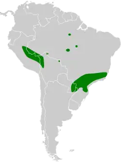 Distribución geográfica del chotacabras coladeseda.