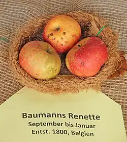 Manzanas 'Baumanns Renette'.