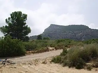 Monte Arabí