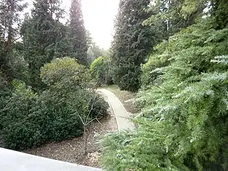 Detalle del Arboreto