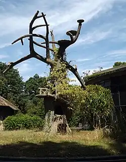 Antigua instalación para monos