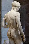 Ares Borghese, espalda y nalgas.