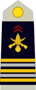 Teniente coronel