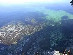 Arrecife azul, en isla Turtle