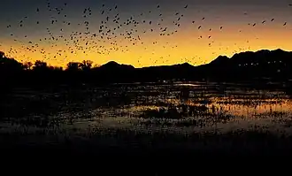 Río San Pedro - Meoqui