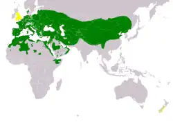 Distribución de Athene noctua