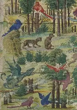 Fauna y flora sudamericanas.