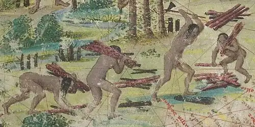 Indígenas recogiendo palo brasil.