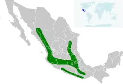 Distribución geográfica del colibrí de Eloísa