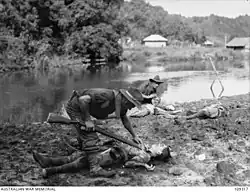 Miembros del 2/17.º Batallón australiano inspeccionando los cuerpos de los soldados japoneses muertos en Brunéi durante una operación el 13 de junio de 1945