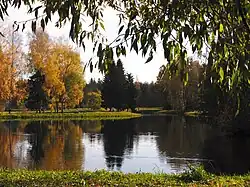 El río Slavyanka en el parque Pavlovsk en otoño