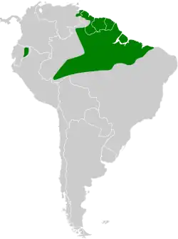 Distribución geográfica del mango picolezna.