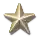 Gold star