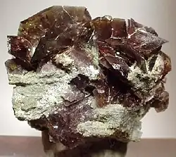 Cristales de axinita (hasta 2.3 cm) en lo alto de una matriz de West Bor Pit en Dalnegorsk, Rusia