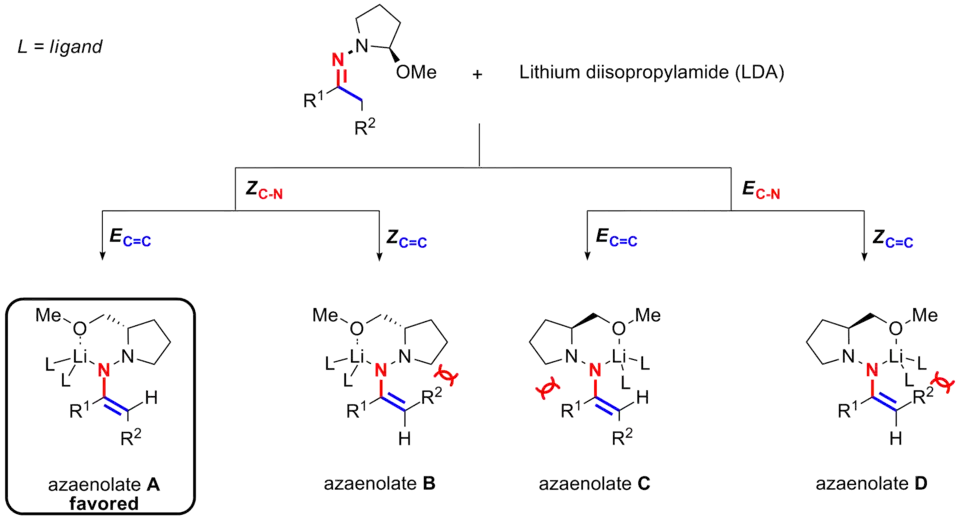 Stereoselectivity De la generación del azaenolates