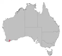 Poblaciones nativas de Banksia brownii