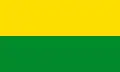 Bandera de Cantón de Carrillo