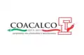 Bandera de Coacalco (2013–2015)